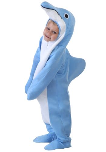 Dolphin mascot attire